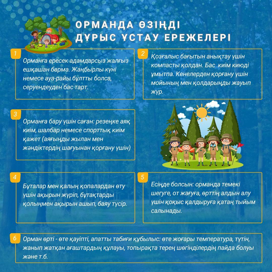 Орманда қауіпсіздік шараларын сақтау маңызды. Ата-аналар мен балаларды ормандағы мінез-құлық ережелерімен танысуға шақырамыз